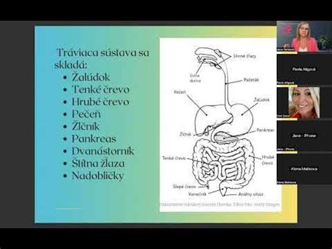 Zdravý tráviaci systém