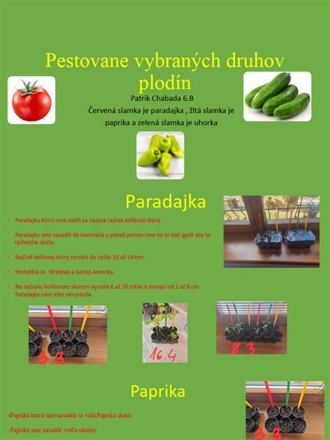 Schéma ekologického hospodárenia v skleníkoch GreenCoop