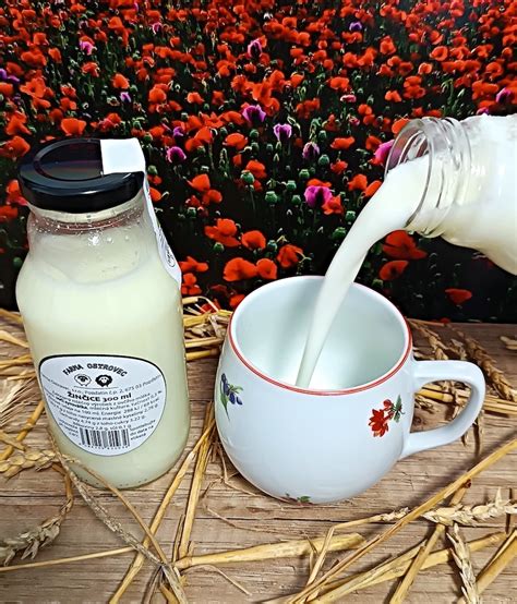 Rôzne produkty zo srvátky, vrátane žinčice a urdy