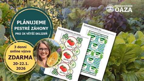 Pestré záhony kvitnúcich krókusov