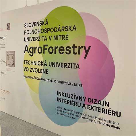 Fotografia: Klienti Centra Frézia prezentujú svoje výrobky na remeselnej výstave