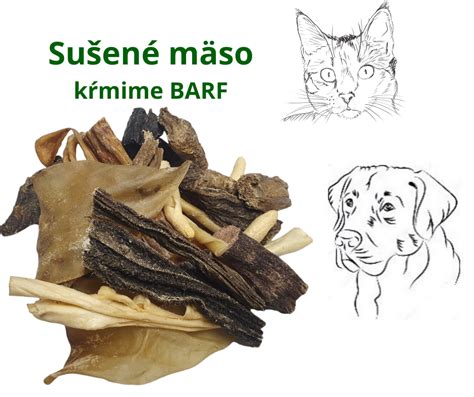 Ilustrácia psa konzumujúceho surovú stravu s rôznymi druhmi mäsa a kostí.