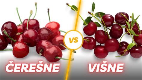 Višne a čerešne - porovnanie