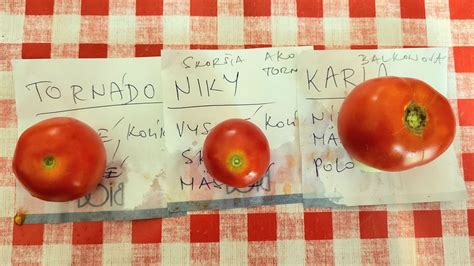 tabuľka s prehľadom odrôd žltých rajčín