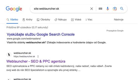 Príklad citovania webovej stránky