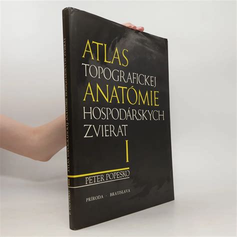 Schéma anatómie kreviet a garnátov