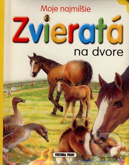 Ilustrácia kury domácej na dvore