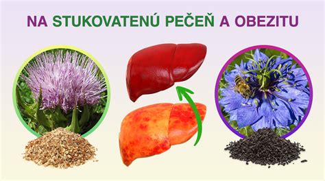 Infografika: Vplyv emócií (hnev) na pečeň a celkové zdravie