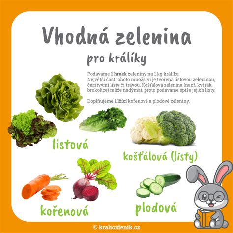 Zelenina vhodná pri dne