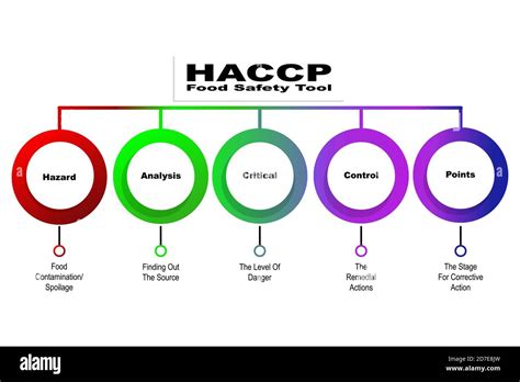 Diagram siedmich princípov HACCP