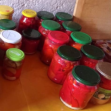 Zaváraná paprika s rajčinovým pretlakom