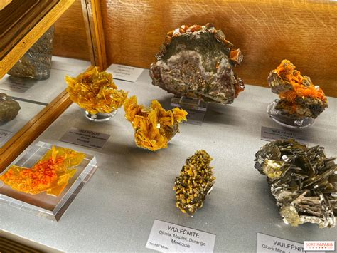 Zbierka meteoritov
