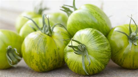 Porovnanie nezrelej a zrelej paradajky Green Zebra