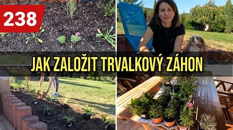 Schéma výsadby tekvíc s rozstupmi