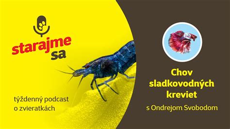 Chov kreviet v symbióze s ryžou