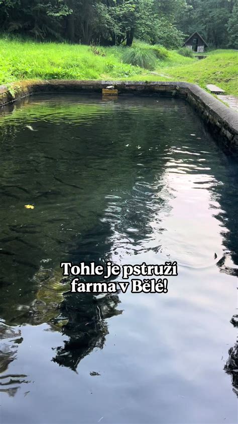Rybárska farma Ala-Balyk a čerstvé pstruhy