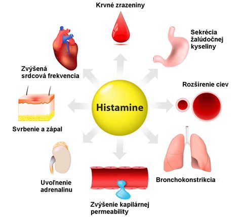 Štruktúra histamínu a jeho premeny v tele