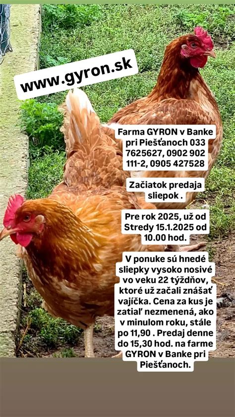 Moderná liaheň kurčiat