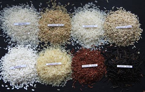 Rôzne druhy obilnín vhodné na kŕmenie kačíc