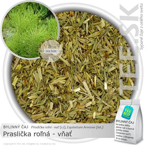 Sušená praslička roľná