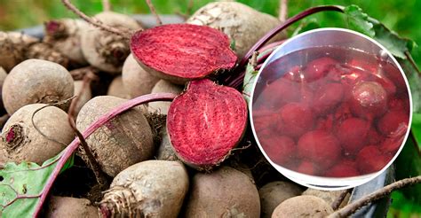 Zrelé buľvy červenej repy