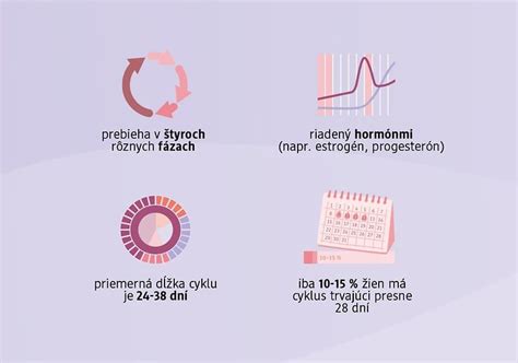 Ženský menštruačný cyklus a jeho fázy