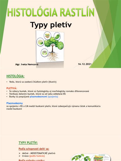 Porovnanie želatíny a rastlinných želírovacích činidiel