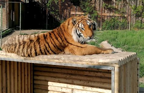 Zvieratá v Zverinci na Ranči pri Žiline