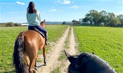 Jazda na koni v Nesluši