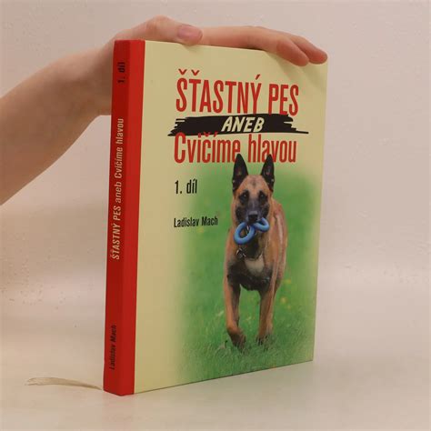 Šťastný pes a mačka jedia konzervu