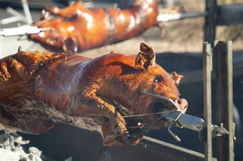 Hotové grilované prasiatko na ražni