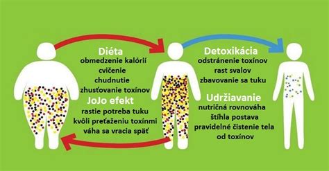 Ilustrácia: Proces detoxikácie tela
