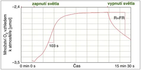 Graf fáz kvasenia s časovou osou a produkciou CO2
