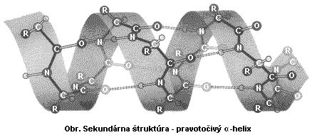 Štruktúra a funkcia mliečnych bielkovín