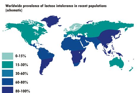 Globálne rozšírenie laktózovej intolerancie