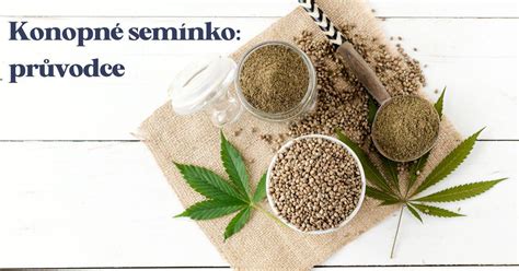 Infografika: Nutričné hodnoty konopných semienok