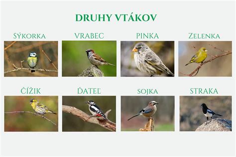 Tabuľka s rozmermi vletových otvorov pre rôzne druhy vtákov