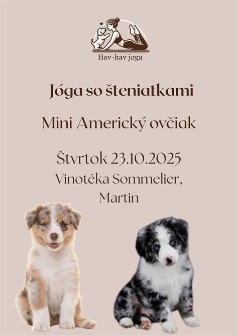 Pôrodná krabica pre fenku so šteniatkami