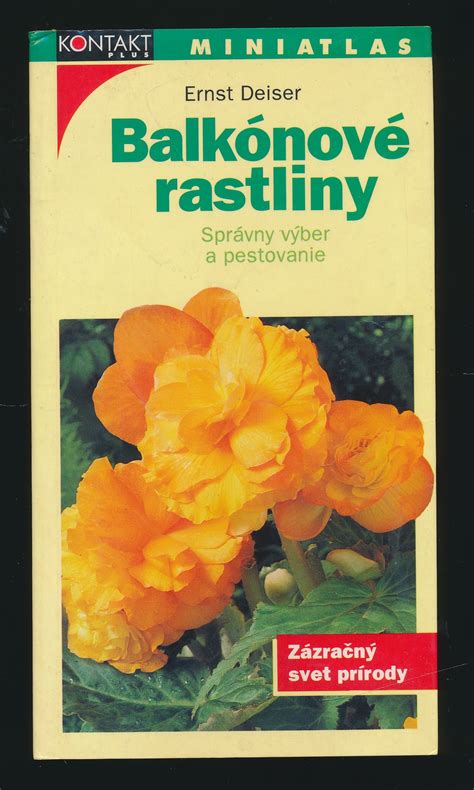 Ilustrácia rastliny kari