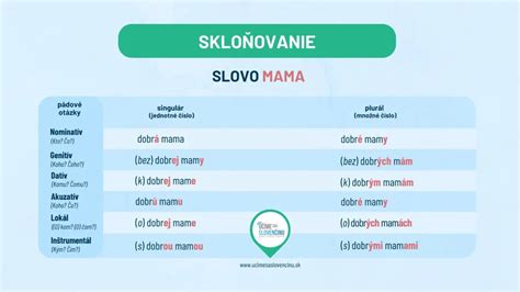 Skloňovanie slova 