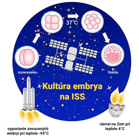 Presvetľovanie vajec na kontrolu vývoja embrya