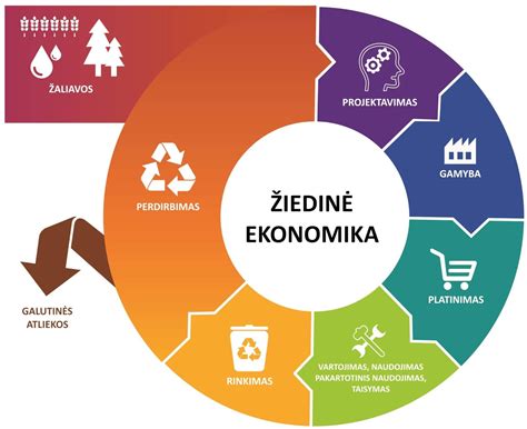 Infografika: Ekonomické sektory a príklady odvetví