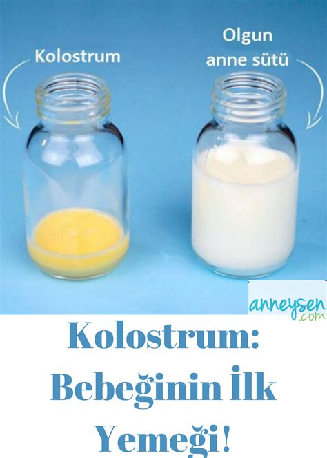 Grafický prehľad fáz tvorby mlieka po pôrode (kolostrum, prechodné, zrelé mlieko)