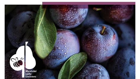 Rôzne odrody sliviek