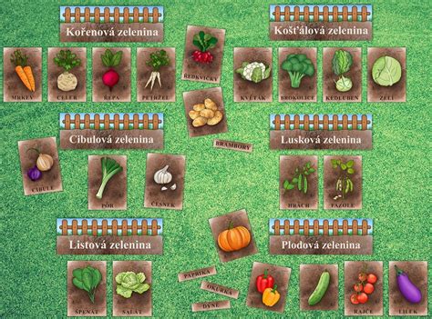 Rôzne druhy zeleniny do polievky