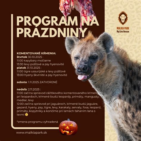 Infografika: Pravidlá vstupu a tipy pre návštevníkov Malkia Parku
