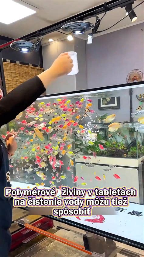 Návod na čistenie rýb