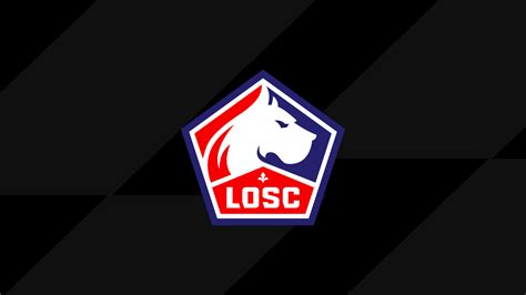 Grafika porovnávajúca nákupy a predaje hráčov LOSC Lille za posledné roky