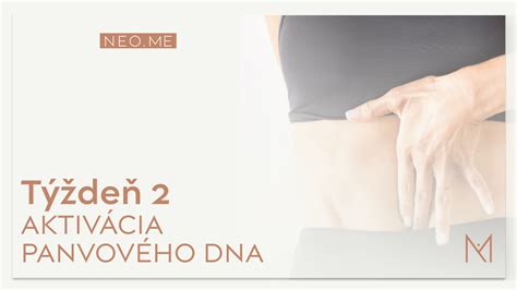 Ilustrácia ženských panvových svalov a panvového dna