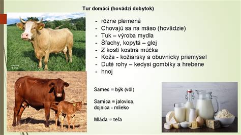 Rôzne plemená odstavčiat
